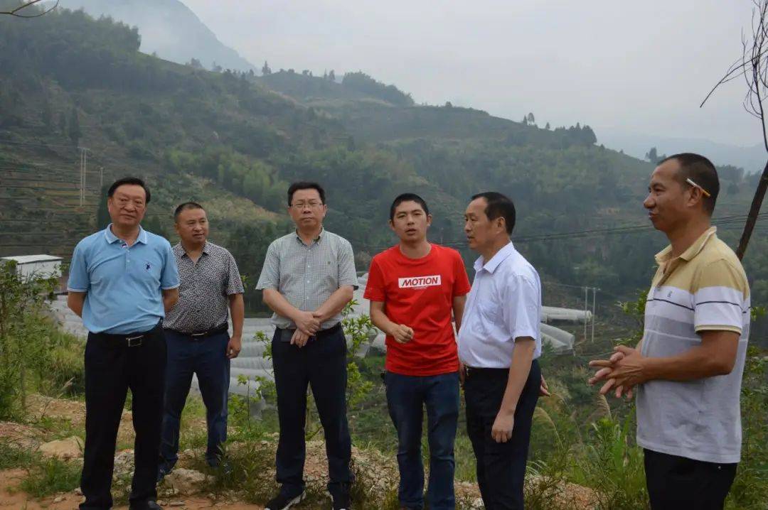 福联万社·优秀案例展示⑥ 老区山村绿色重